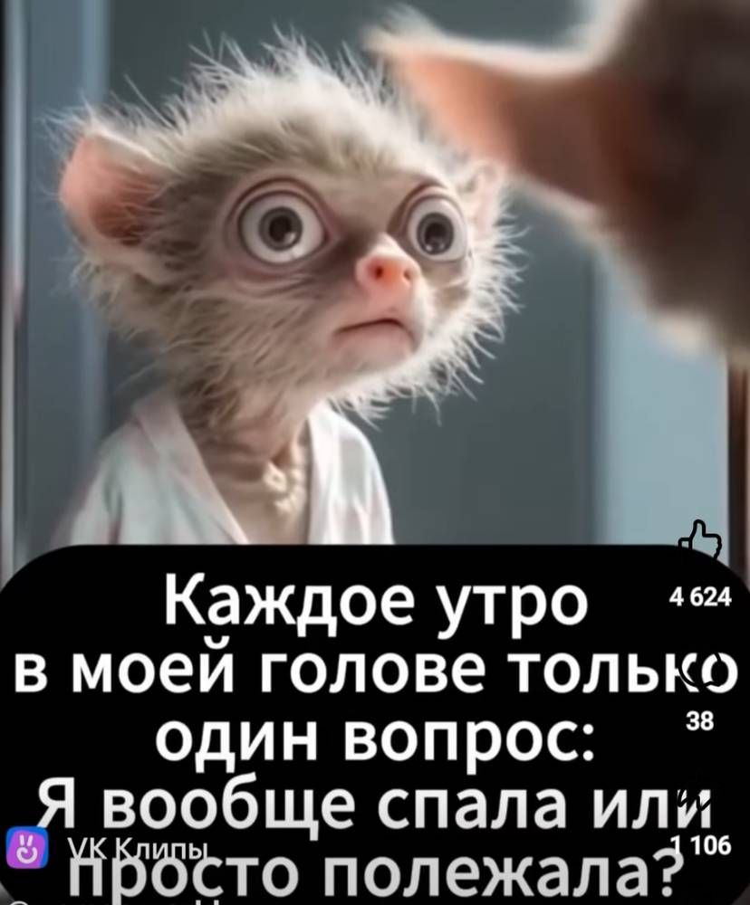 Каждое утро в моей голове только один вопрос: Я вообще спала или просто полежала?