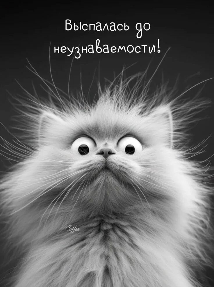 Выпалась до неузнаваемости!