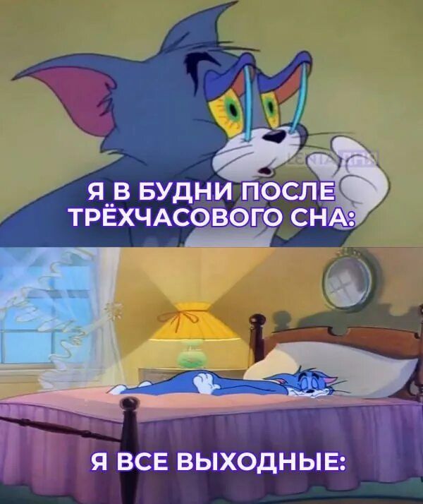 Я в будни после трёхчасового сна:\nЯ все выходные: