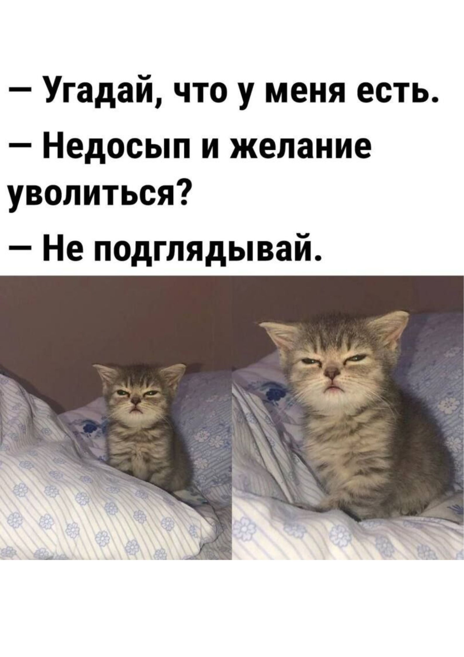 — Угадай, что у меня есть. — Недосып и желание уволиться? — Не подглядывай.