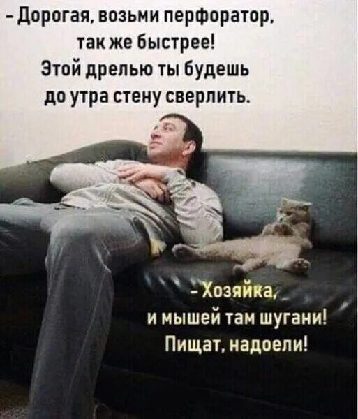 - Дорогая, возьми перфоратор, так же быстрее! Этой дрелью ты будешь до утра стену сверлить. - Хозяйка, и мышей там шугани! Пищат, надоели!