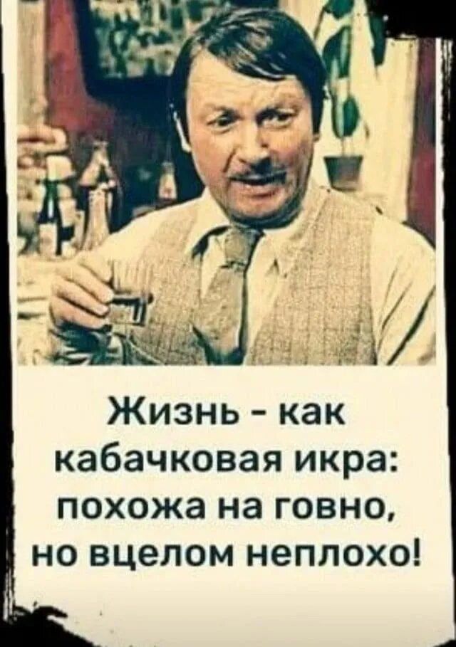 Жизнь - как кабачковая икра: похожа на говно, но в целом неплохоł!