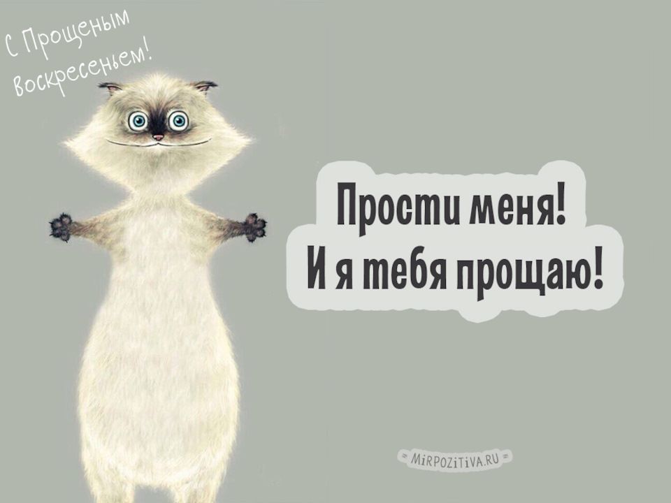 Прости меня! И я тебя прощаю! С Прощеньим воспрещением!