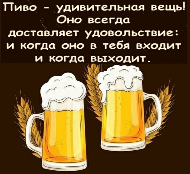 Пиво - удивительная вещь! Оно всегда доставляет удовольствие: и когда оно в тебя входит и когда выходит.
