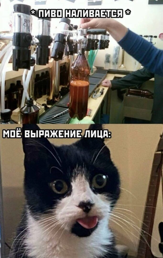 * ПИВО НАЛИВАЕТСЯ *
МОЁ ВЫРАЖЕНИЕ ЛИЦА: