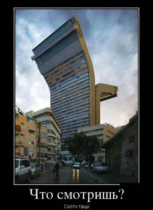 Что смотришь? Скотч тащи