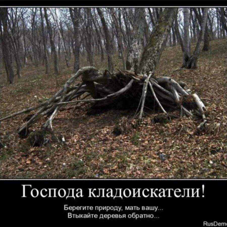 Господа кладоискатели! Берегите природу, мать вашу... Выкапывайте деревья обратно...