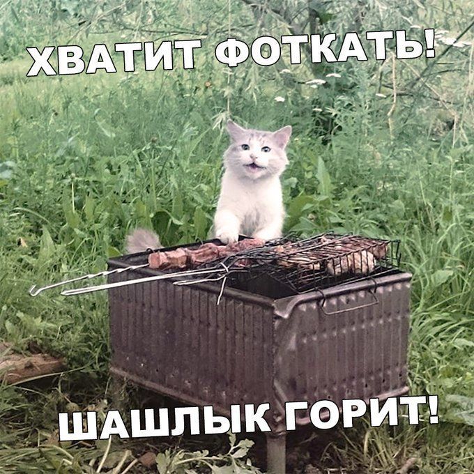 ХВАТИТ ФОТКАТЬ! ШАШЛЫК ГОΡИТ!