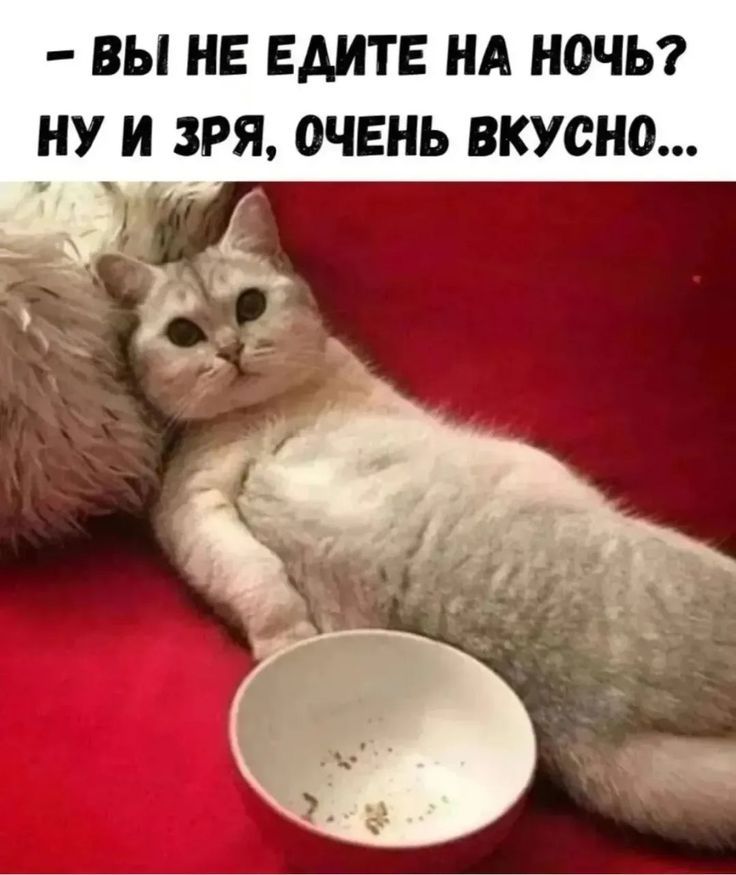 - Вы не едите на ночь? Ну и зря, очень вкусно...