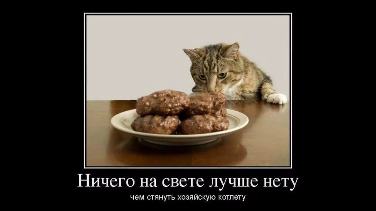 Ничего на свете лучше нету\nЧем стянуть хозяйскую котлету