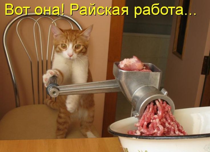 Вот она! Райская работа…