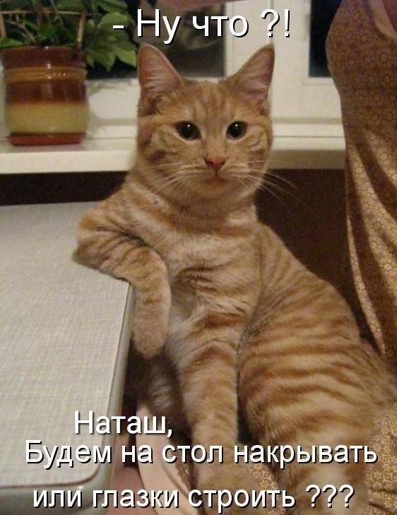 Ну что ?! Наташ, Будем на стол накрывать или глазки строить ???