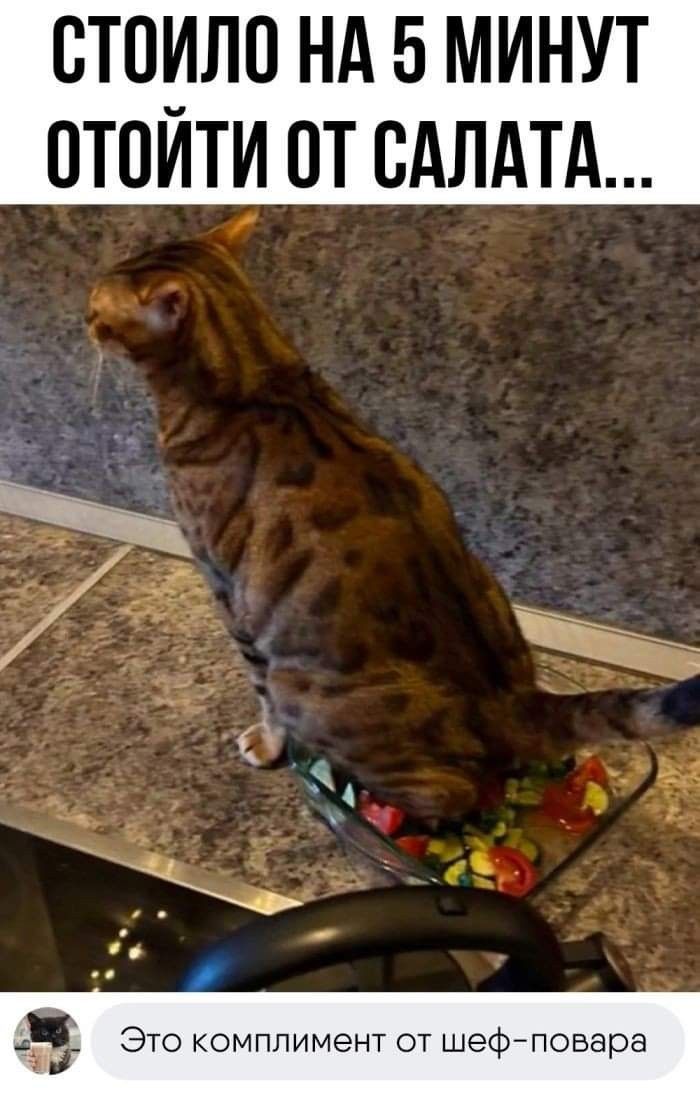 СТОИЛО НА 5 МИНУТ ОТОЙТИ ОТ SALATA... Это комплимент от шеф-повара