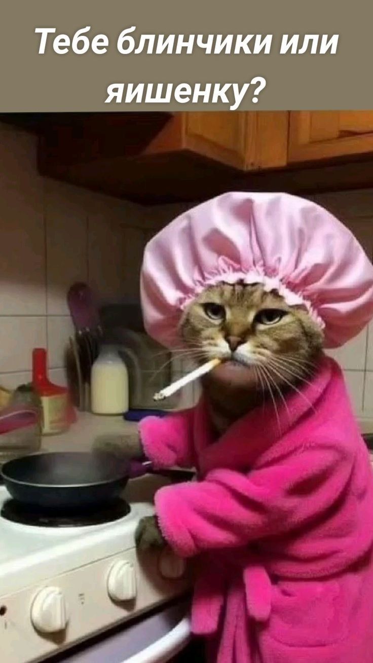 Тебе блинички или яишенку?