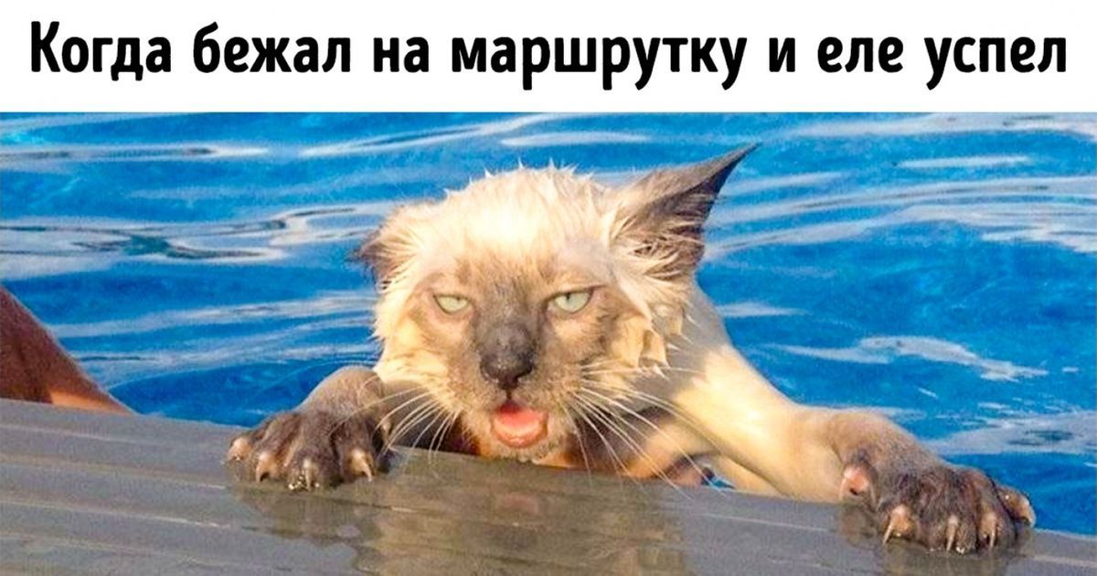 Когда бежал на маршрутку и елe успел