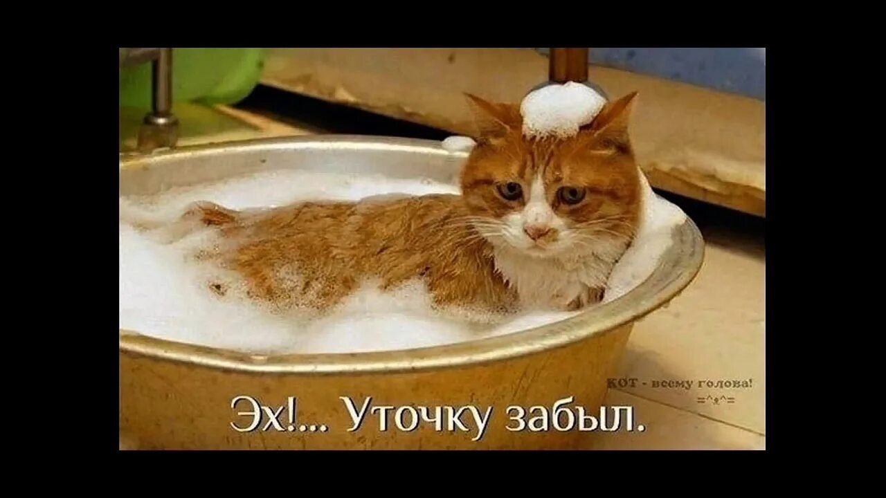 Эх!.. Уточку забыл.