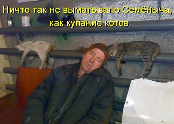 Ничто так не вымытавалo Семёныча, как купание котов.