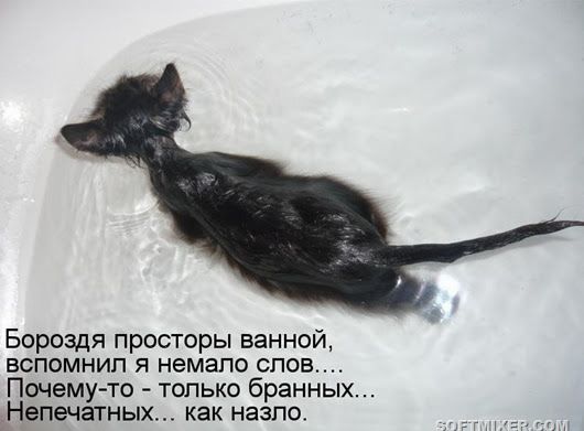 Бороздя просторы ванной, вспомнил я немало слов... Почему-то - только бранных... Непечатанных... как назло.