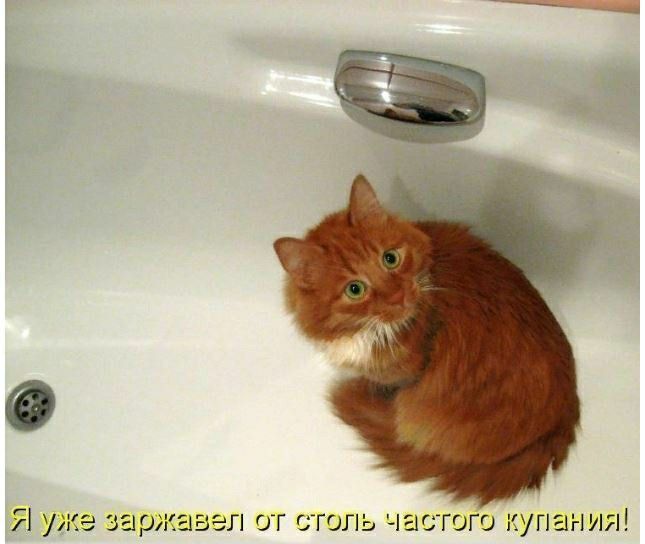 Я уже заржавел от столь чистого купания!