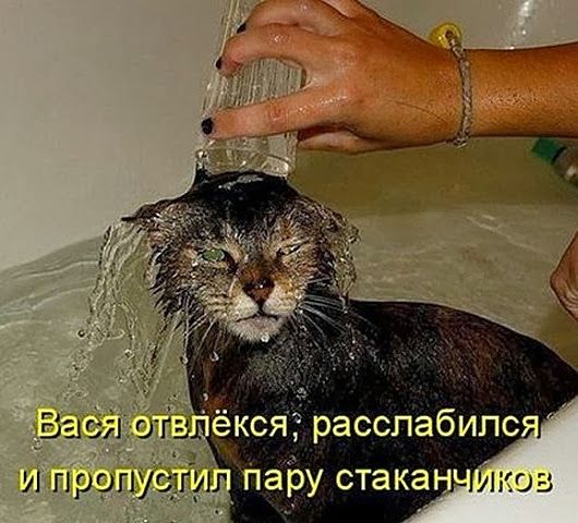 Вася отвлёкся; расслабился и пропустил пару стаканчиков