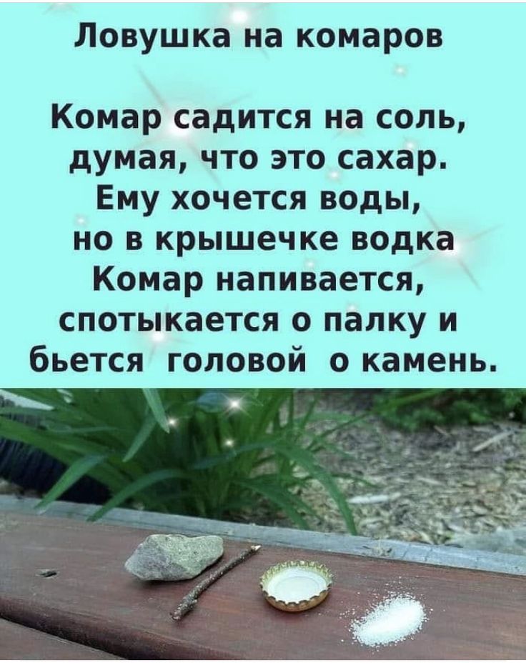 Ловушка на комаров\nКомар садится на соль, думая, что это сахар. Ему хочется воды, но в крышечке водка. Комар напивается, спотыкается о палку и бьется головой о камень.