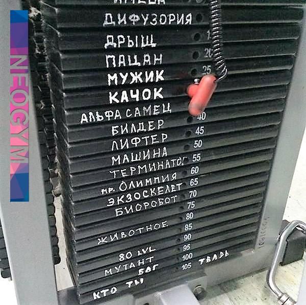 ДИФУЗОРИЯ
АРЫШ
МАЙН
МУЖИК
КАЧОК
АЛЬФА САМЕЦ
БИЛДЕР
ЛИФТЕР
МАШИНА
ТЕРМИНАТОР
ЭКЗОСКЕЛЕТ
БИОРОБОТ