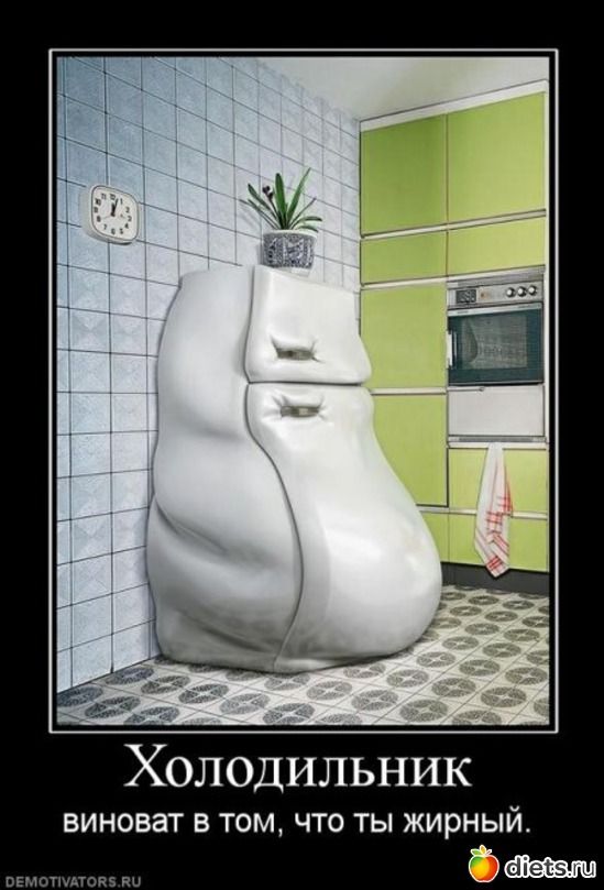 Холодильник виноват в том, что ты жирный.