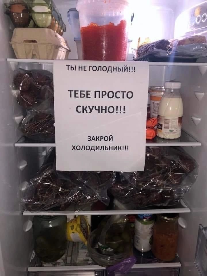 ТЫ НЕ ГОЛОДНЫЙ!!! ТЕБЕ ПРОСТО СКУЧНО!!! ЗАКРОЙ ХОЛОДИЛЬНИК!!!