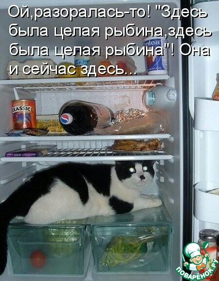 Ой, разоралась-то! 