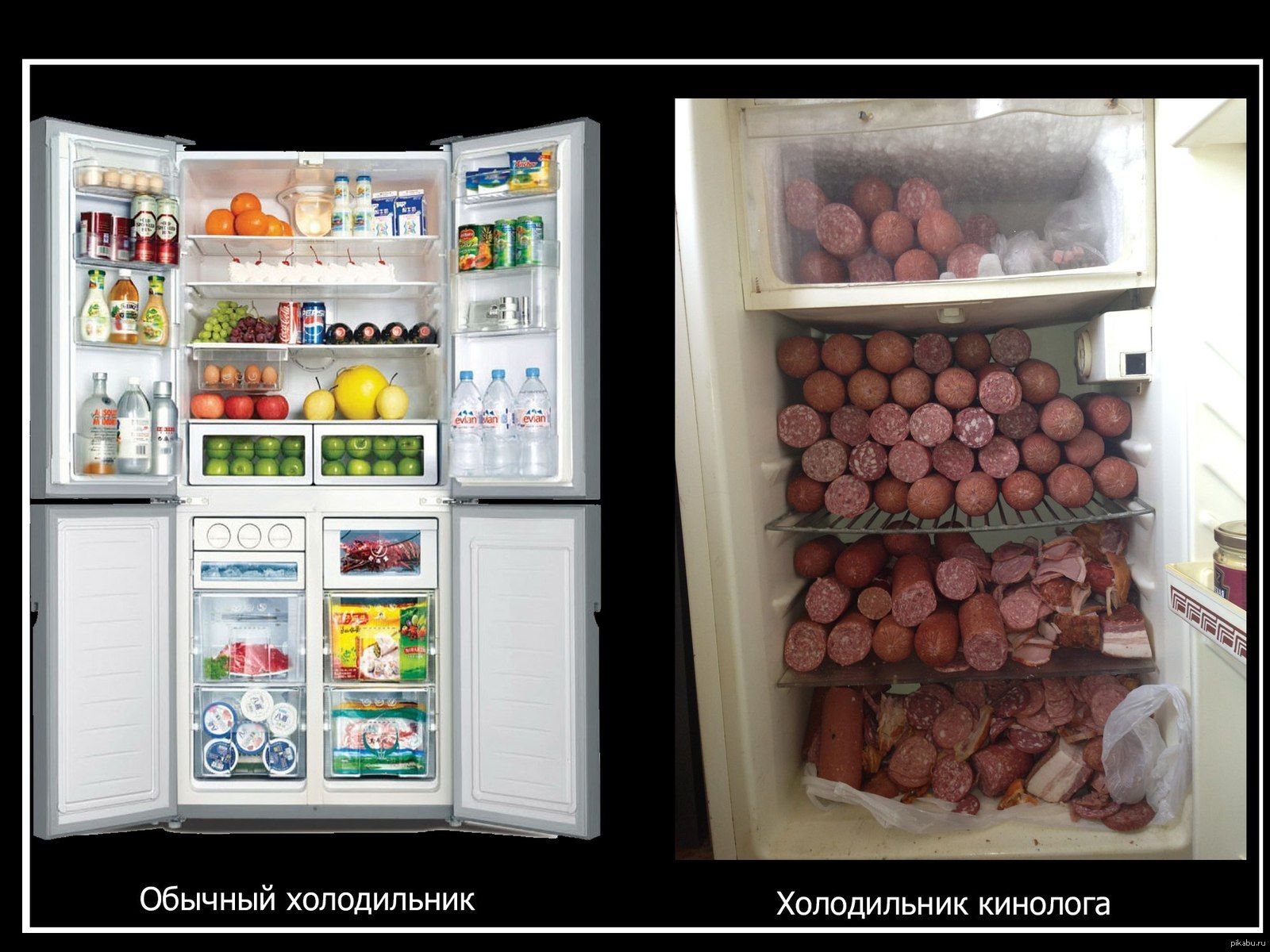 Обычный холодильник
Холодильник кинолога