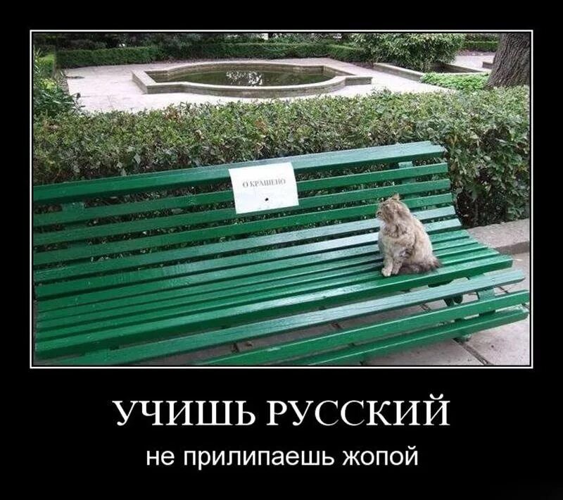 УЧИШЬ РУССКИЙ не прилипаешь жопой