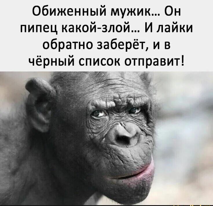Обиженный мужик... Он пипец какой-злой... И лайки обратно заберёт, и в чёрный список отправит!