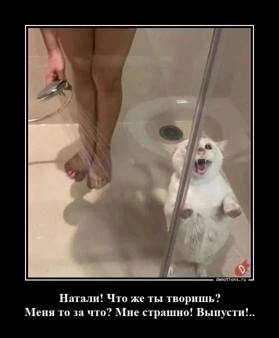 Натали! Что же ты творишь? Меня то за что? Мне страшно! Выпусти!..