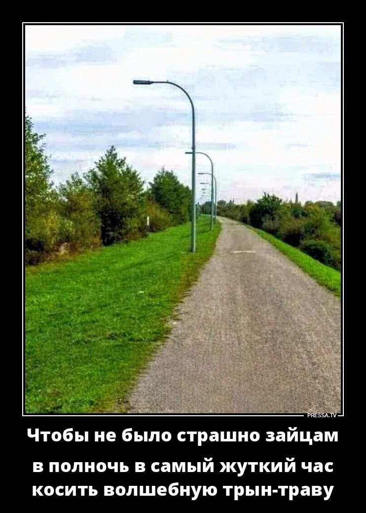 Чтобы не было страшно зайцам в полночь в самый жуткий час косить волшебную траву