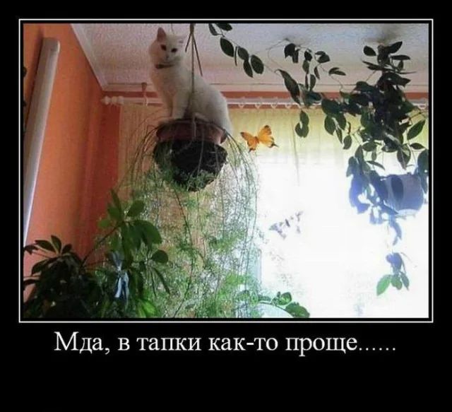 Мда, в тапки как-то проще......