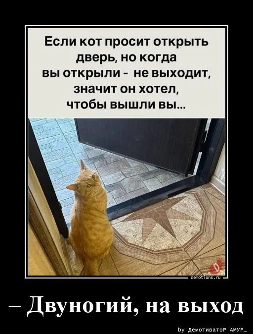Если кот просит открыть дверь, но когда вы открыли - не выходит, значит он хотел, чтобы вышли вы... Двуногий, на выход