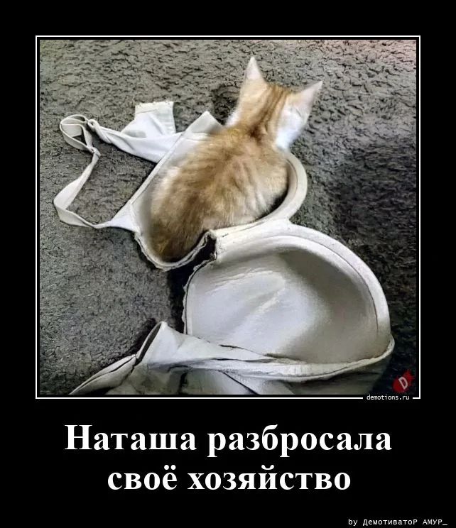Наташа разбросала своё хозяйство