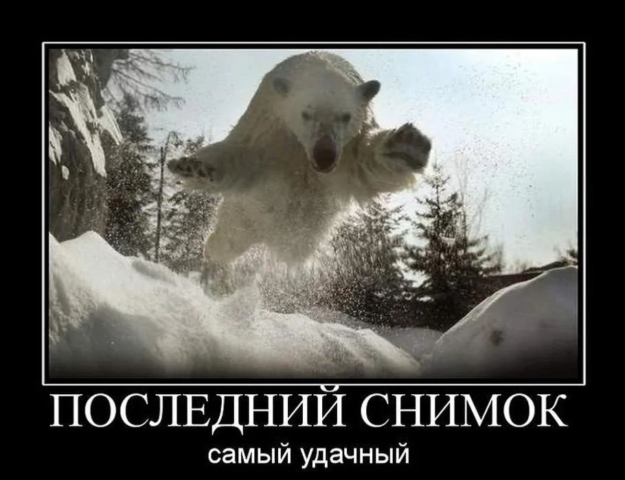 ПОСЛЕДНИЙ СНИМОК
самый удачный