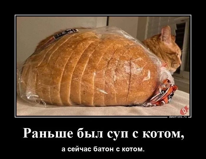 Раньше был суп с котом, а сейчас батон с котом.