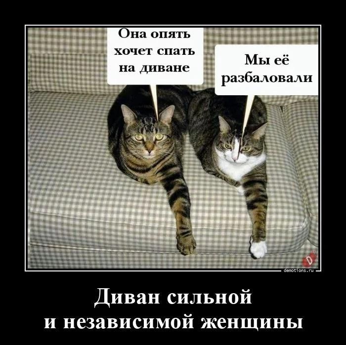 Она опять хочет спать на диване
Мы её разбаловали
Диван сильной и независимой женщины