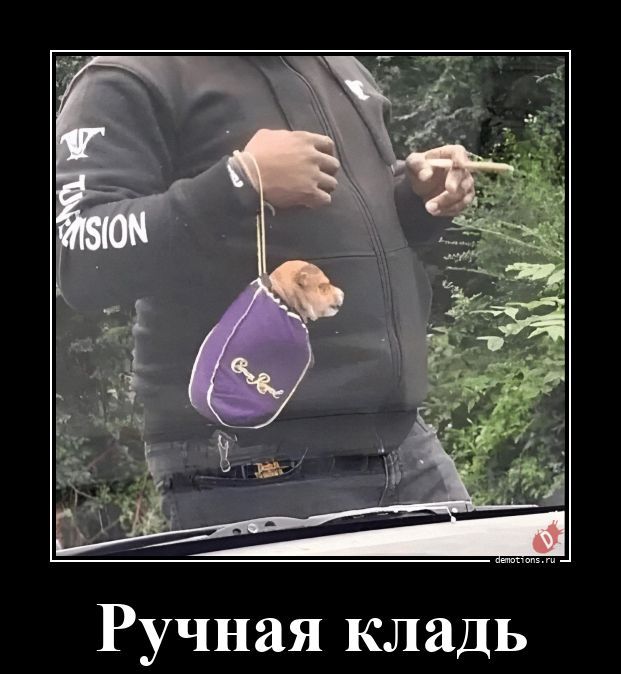 Ручная кладь
