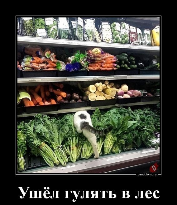 Ушёл гулять в лес