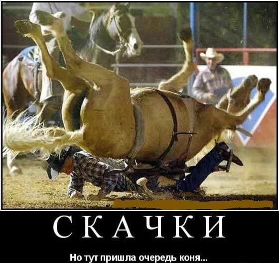 СКАЧКИ Но тут пришла очередь коня...