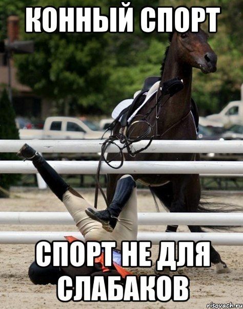 КОННЫЙ СПОРТ СПОРТ НЕ ДЛЯ СЛАБАКОВ