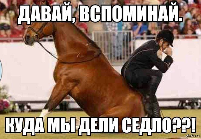 ДАВАЙ, ВСПОМИНАЙ. КУДА МЫ ДЕЛИ СЕДЛО?!