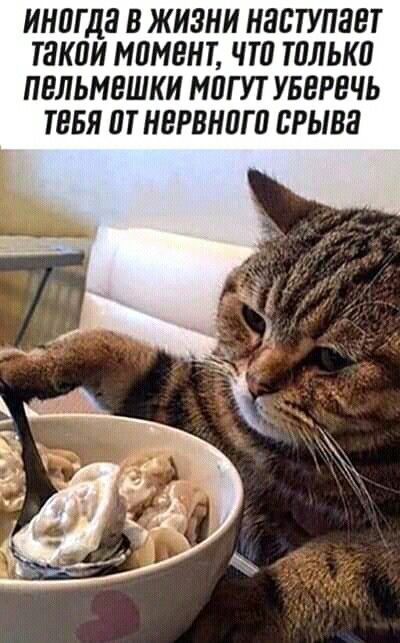 иногда в жизни наступает такой момент, что только пельмешки могут увлечь тебя от нервного срыва