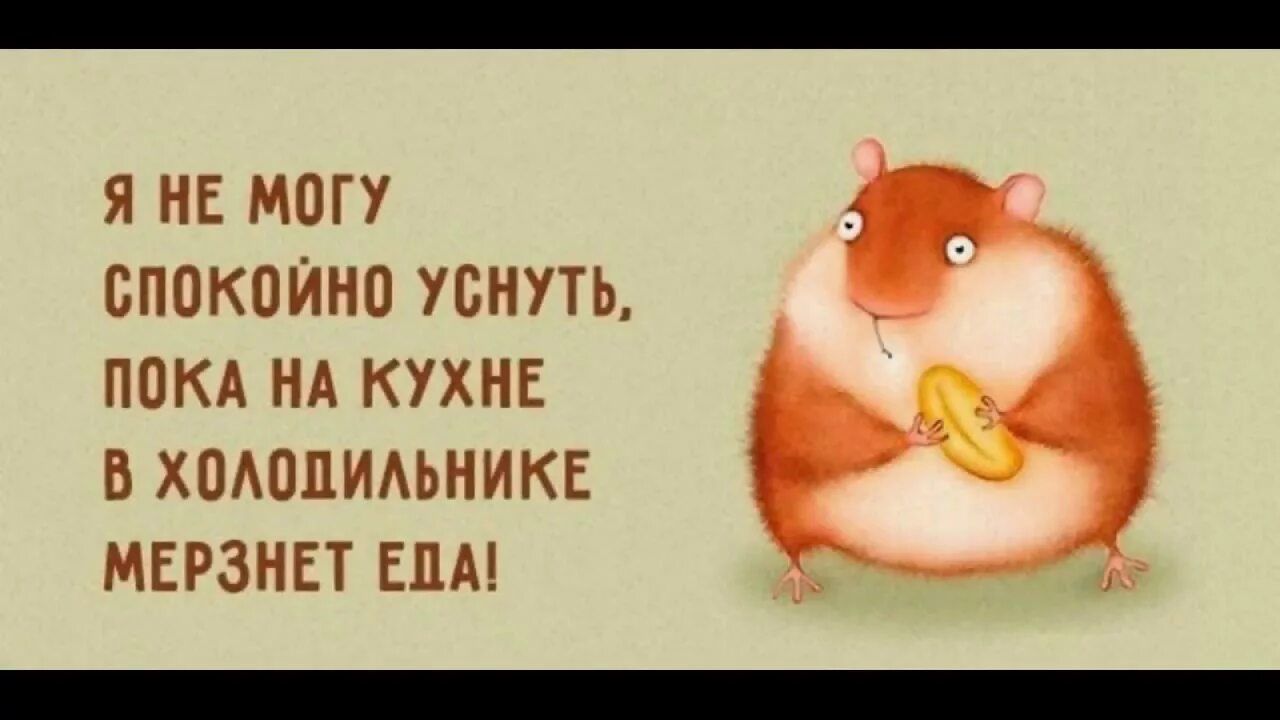 Я не могу спокойно уснуть, пока на кухне в холодильнике мерзнет еды!