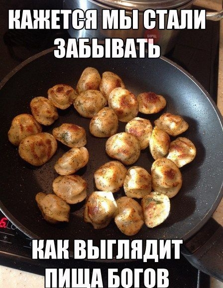 КАЖЕТСЯ МЫ СТАЛИ ЗАБЫВАТЬ КАК ВЫГЛЯДИТ ПИЦЦА БОГОВ