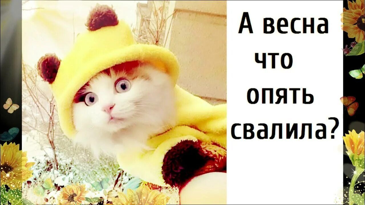 А весна опять свалила?