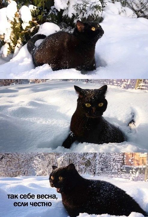 так себе весна, если честно